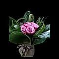 Rose bouquet